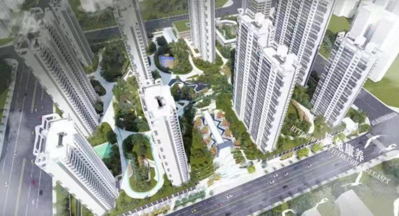 旅居、养老、旅兔康养 (2).jpg