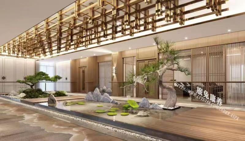 旅居、养老、旅兔康养 (3).jpg